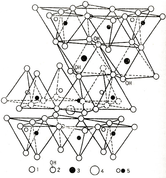 . 40.  .  ,      ,       - .        ,     (     ).        . 1 - ; 2 - ; 3 - ; 4 - ; 5 -  ( 1/4  )