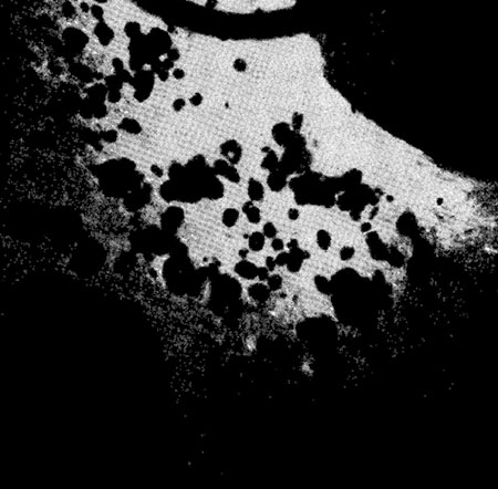 . 43.        4250' . ., 12532' . .,  4560  ( . ,    , -, ).             , , ,   .      4x5 .  ,  ,      ,   ,   ,  , 6 .      .