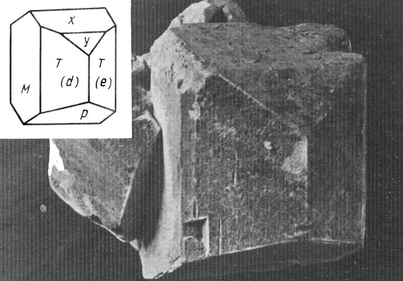 ���. 14. ��������. �������