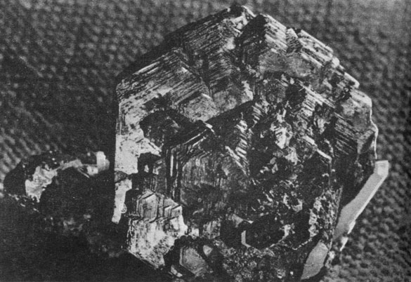 ���. 21. �������� ���������. ������-�����