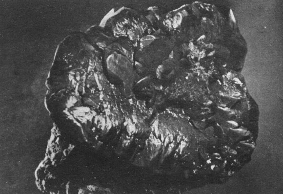 ���. 23. �������. ������������ �������������. ��������� ���