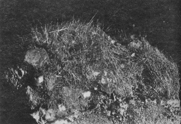 ���. 30. �������� - ���������� ���������. ��������, �����������