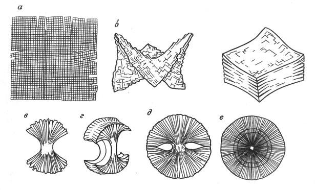 ���. 44. ������� �������� (�) � ����� ����������� ����������: ����� (�) ����������� ������� (�), ���������� (�), ������������� (�) �������� (�)