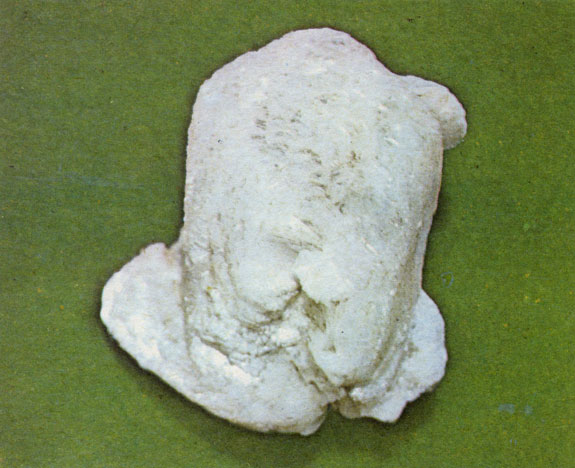 ���. 45. '����' ���������. ����������� ���������� �����