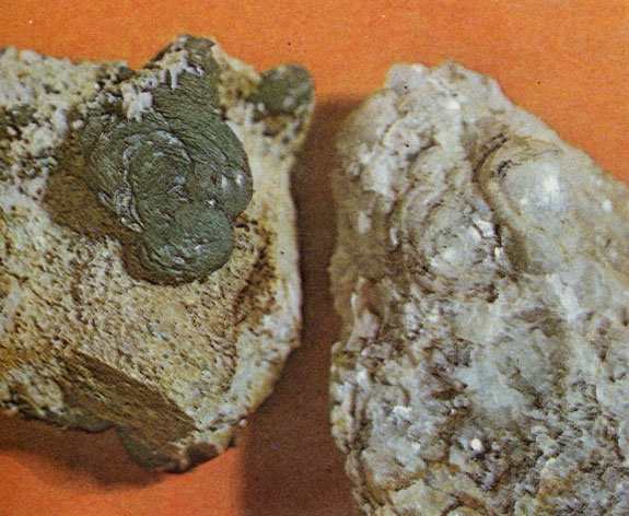 ���. 46. '�������� ����' ����������. ��������� (������); �������������� ��������. �������������� ������������� (�����)