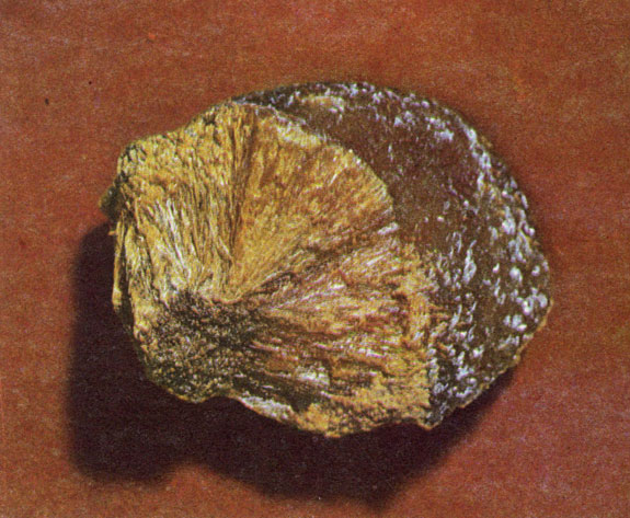 ���. 47. �������� ������������. �������� ������