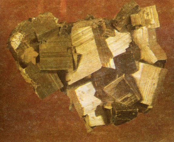 ���. 49. ����� ���������� ������. �������, ���������