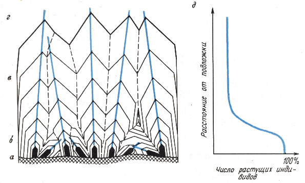 ���. 50. ����������� � ���������� �������� �����: � - ���� ���������� �����������; � - �������� �������; � - �����������-���������� �������; � - �����; � - ������ ��������������� ������