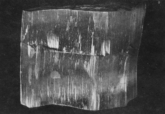 ���. 51. �����������-���������� ������� ����� - �������. �����������