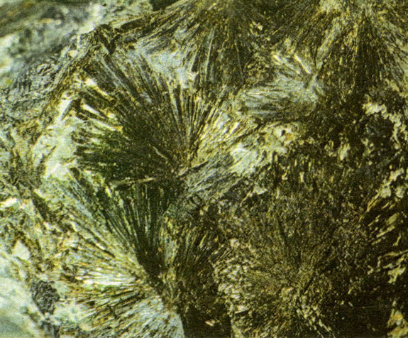 ���. 52. ���������-�������� �������� ������������. ������