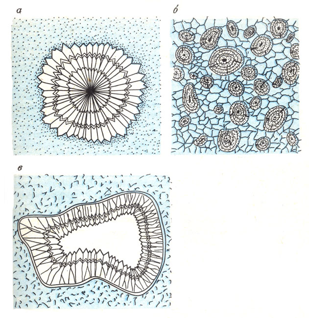 ���. 53. ��������� (�), ��������� ������� (�), �������� (�)