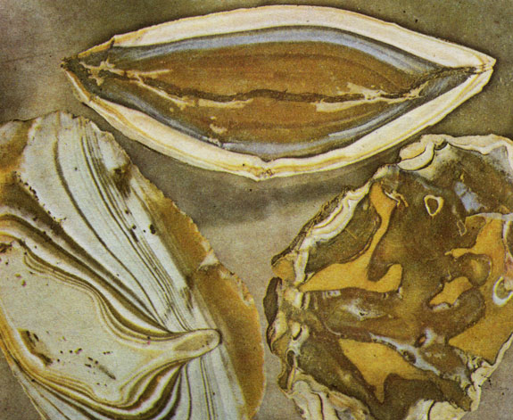 ���. 55. ������ ����������� (������������ ����� �� ��������� �. �. � �. � ����������). ����������� �. ��������