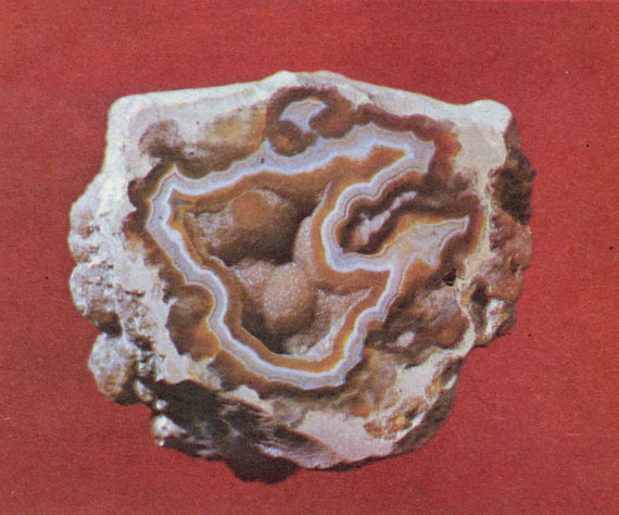 ���. 56. ���� (��������� �. �. � �. �. ����������). ��������� �������������, ���������� �������