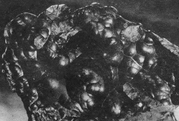 ���. 57. '����� ���������� ������' - ������� ���������� �����. ���������� �������������. ����� ����