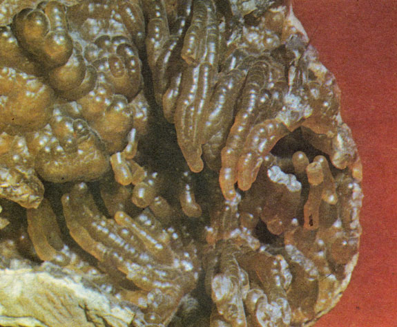 ���. 58. ������������ ����� � ������������������. ���������� �������