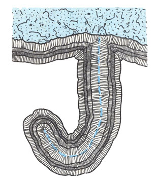 ���. 59. �������� ����������������