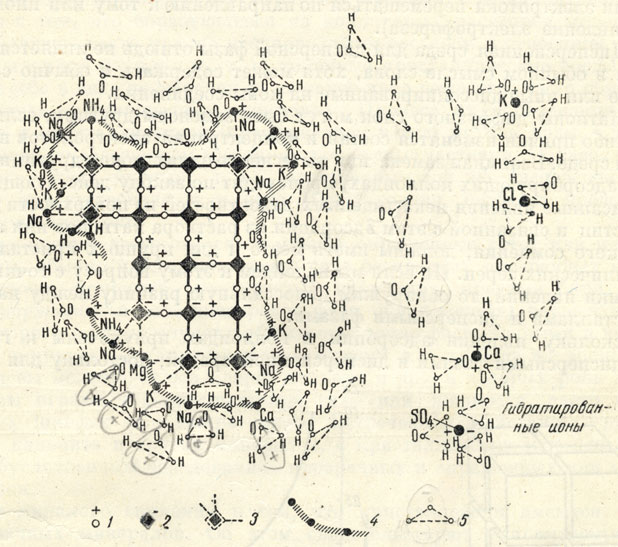 . 8.       ,  . 1-     ; 2-  ; 3-      ; 4-   ; 5- H><sub>2</sub>O ( )