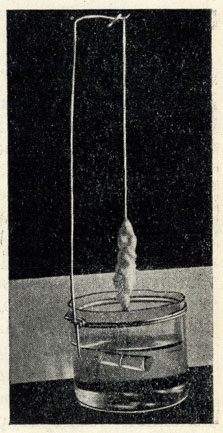 . 37.   NaCl,      ,    .           . . 