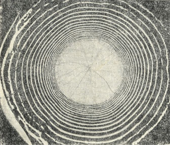 . 47. ' '