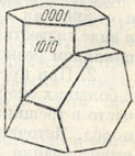 . 215.    (1011)