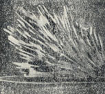 . 219.    