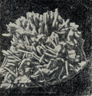 . 222.    
