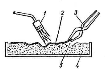 . 117.     : 1 - ; 2 - ; 3 - ; 4 - ; 5 - 