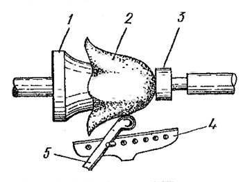 . 125.       : 1 - ; 2 - ; 3 -  ; 4 -    ; 5 - 
