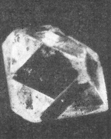 . 31.  '', 29,2 