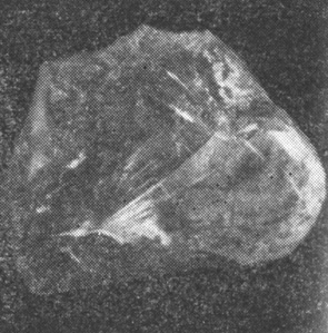 . 41.  'XXVI  ', 342,5 